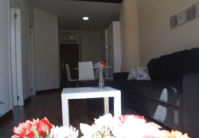 Apartamento en Valencia - Down Town 13 2D