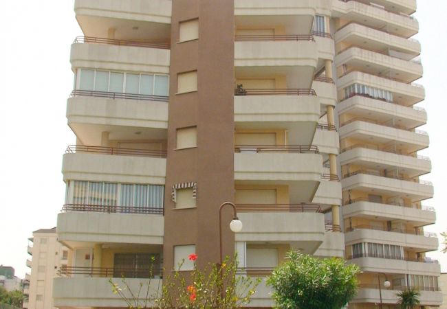 Ferienwohnung in Gandía - Santamaria 2d