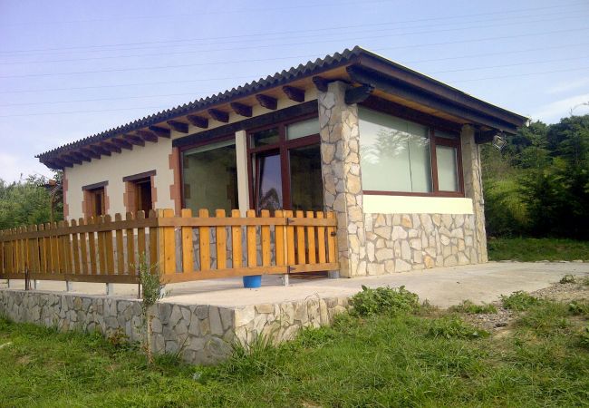 House in Lejona - Lore Etxea