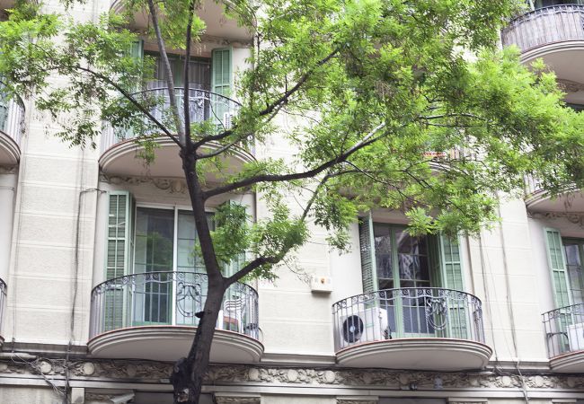 Appartement à Barcelone - Aribau 226